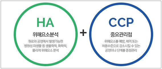해썹마크 분석
