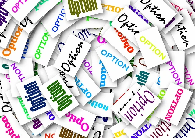 알기 쉬운 옵션(OPTION) 투자 입문 가이드