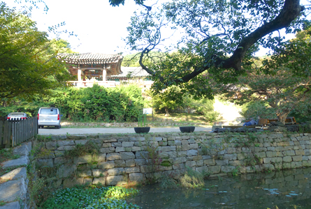 서산 개심사 겹벚꽃