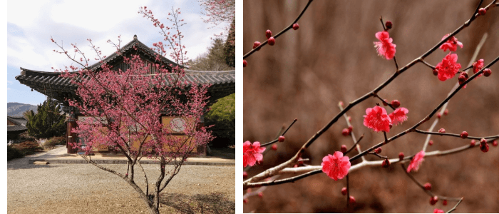 4.순천금전산금둔사