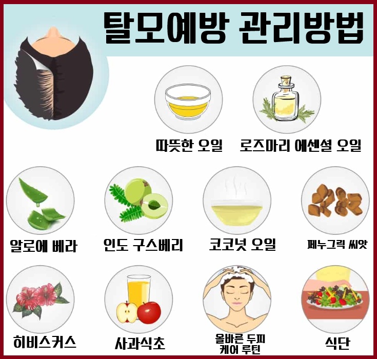 탈모 예방 가이드: 생활습관으로 바꾸는 건강한 두피