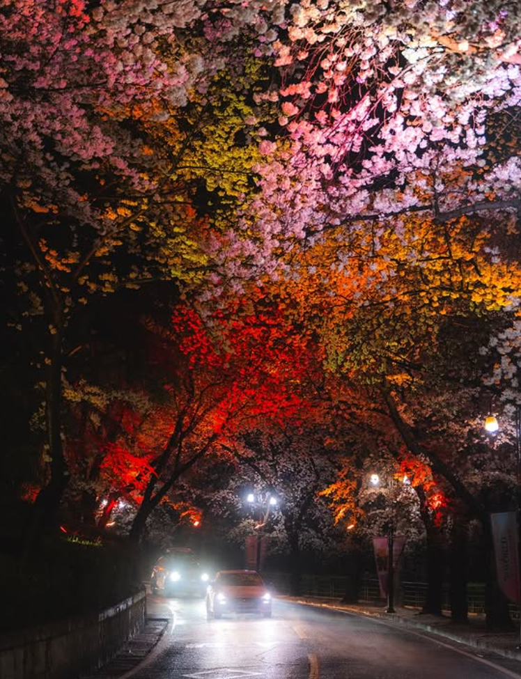 대구 이월드 자유이용권 할인