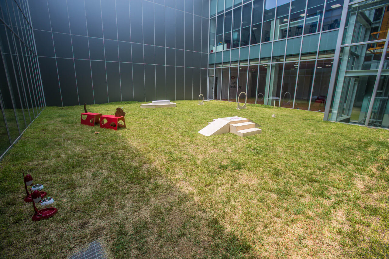 오늘N 오늘 대(大)공개 충남 공주 반려동물 사료 공장 하림펫푸드 해피댄스스튜디오(HDS) 투어 예약방법 오늘N 2495회