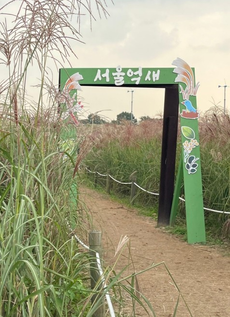 하늘공원-억새축제-서울정원박람회
