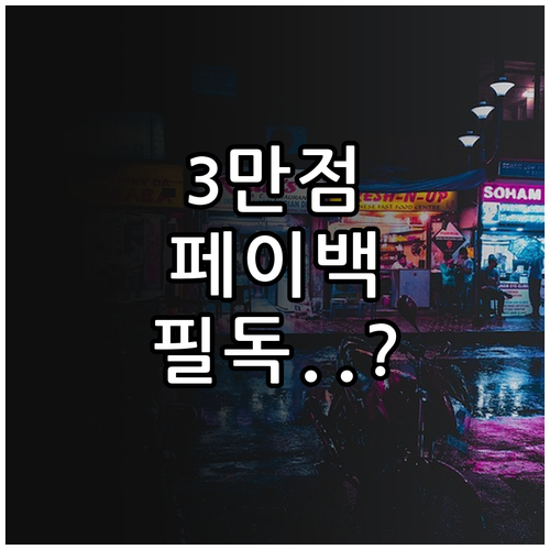 롯데마트 통큰세일 3만원 페이백 혜택..