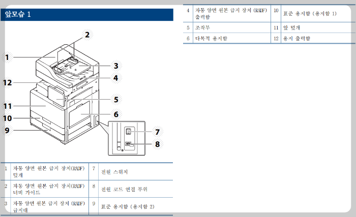 앞모습