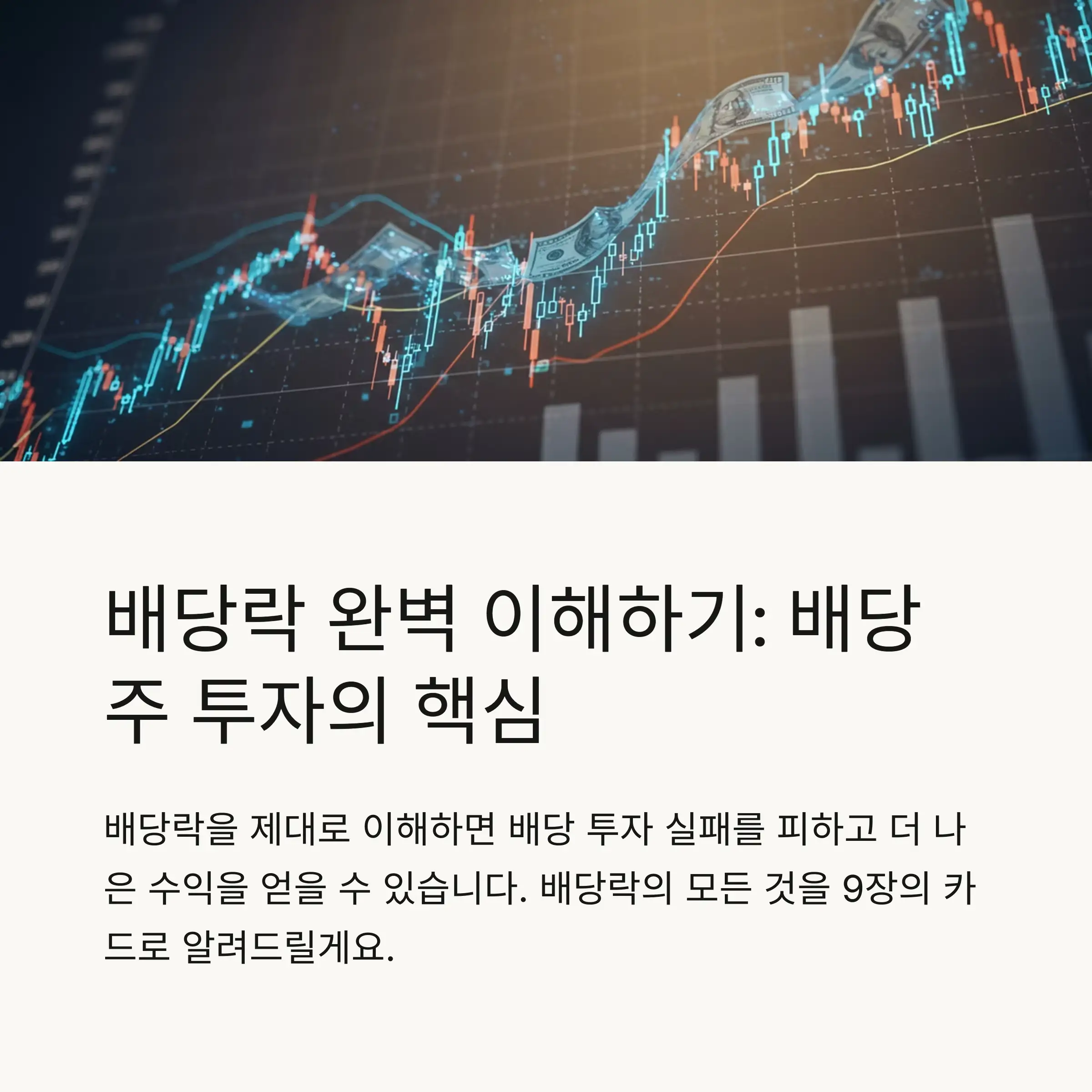 📋 목차