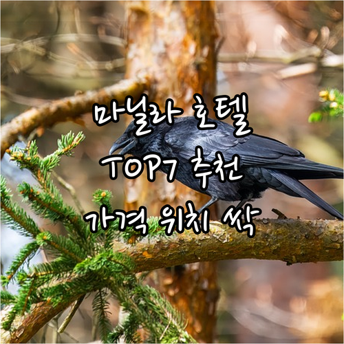 마닐라 인기 호텔 추천 TOP7 위치..