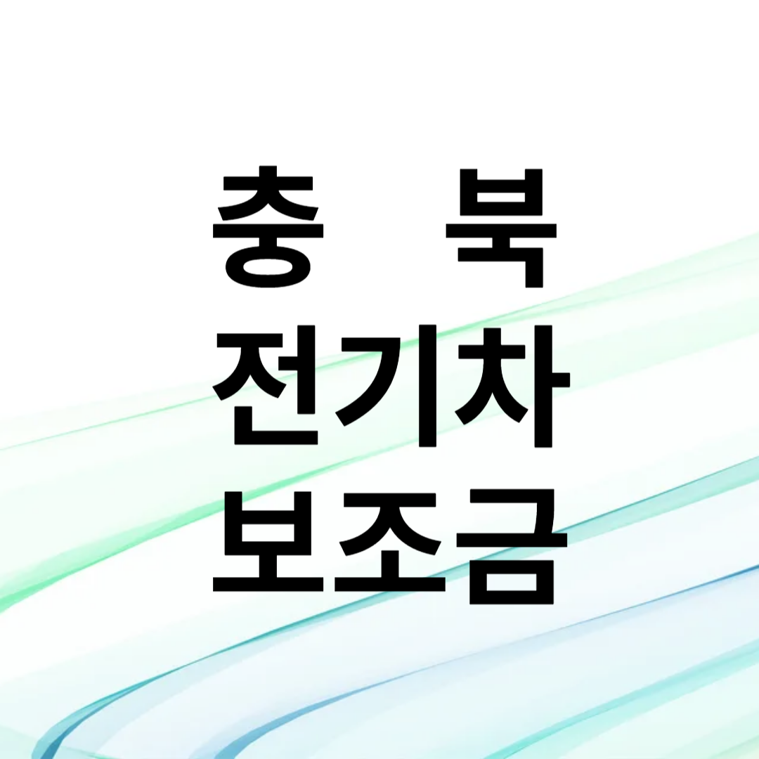 충북 전기차 보조금