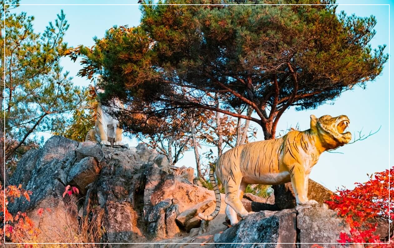 봉화 가볼만한곳 베스트10 범바위전망대