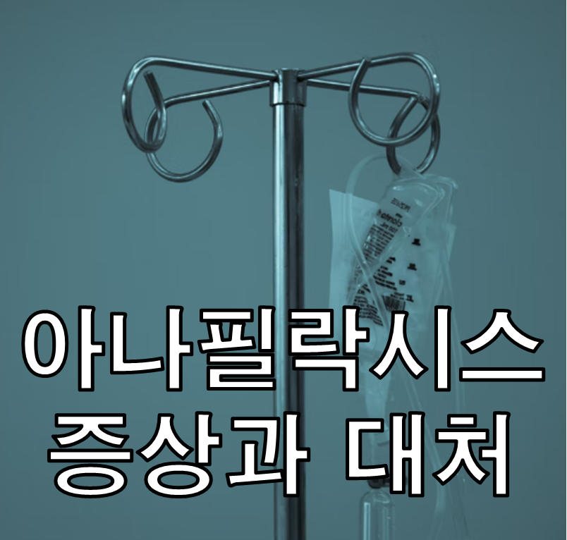 아나필락시스 알아보기