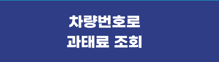차량번호로-과태료조회