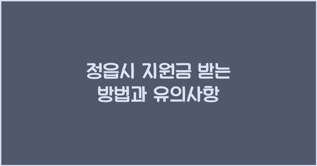 정읍시 지원금