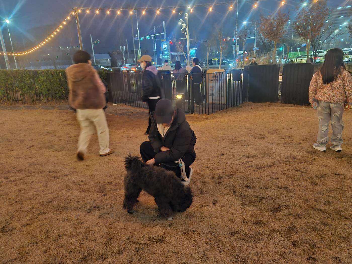 강아지 아플 때 보내는 신호 5가지