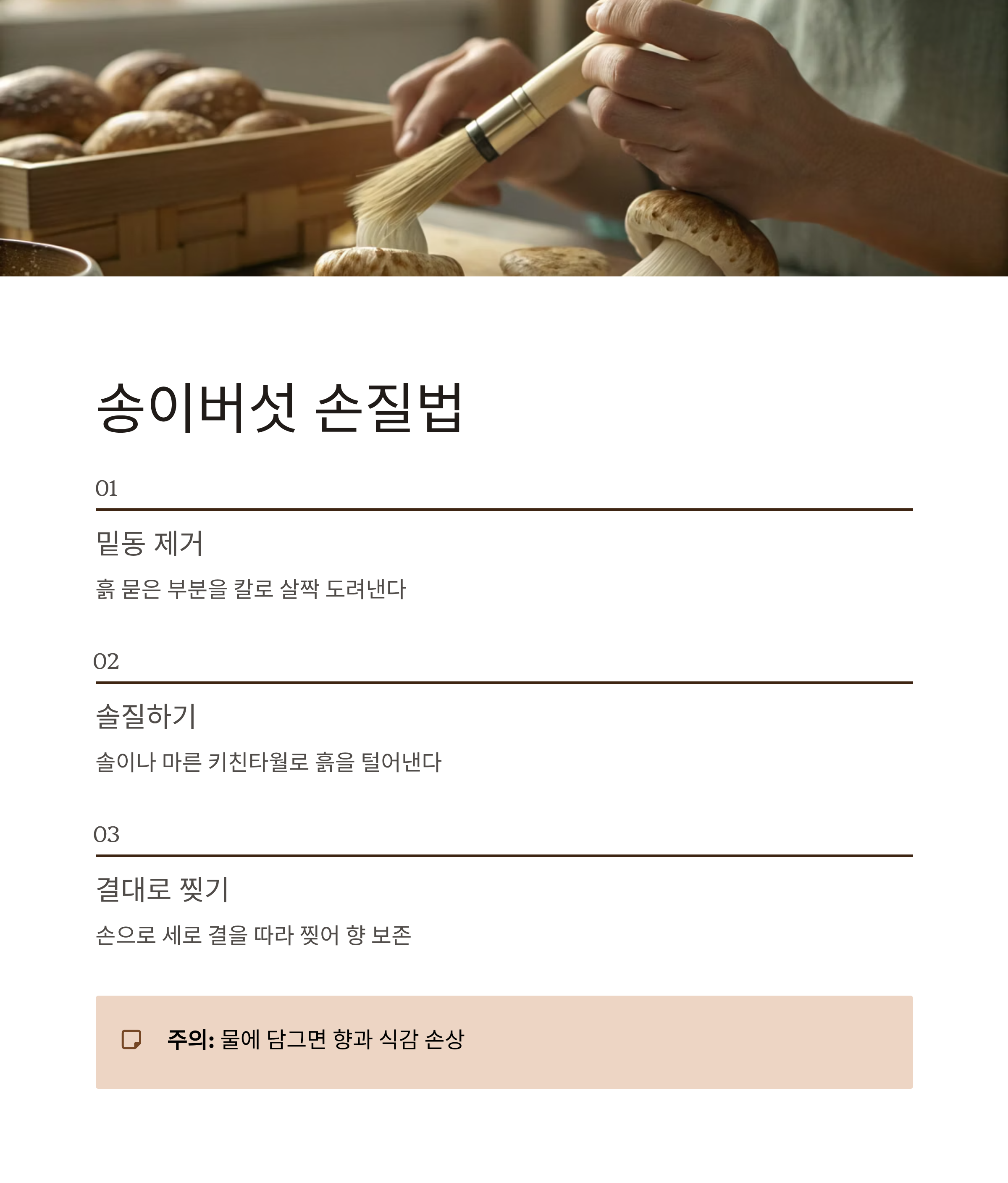 송이버섯 먹는법 완벽정리|향 손상 없이 즐기는 손질·구이·밥 요리 꿀팁