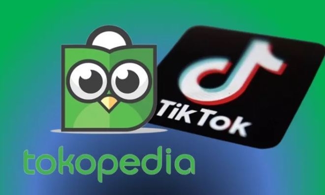 토코피디아 로고 모습 사진