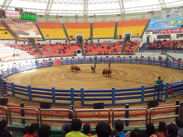 2025 숙박세일페스타 총정리