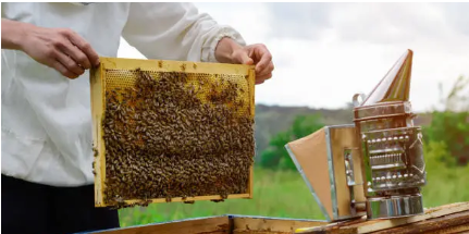 사람들이 잘 모르는 생소한 직업