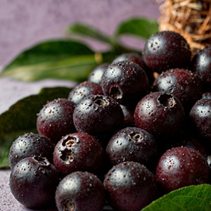 먹을수록 건강해지는 6가지 슈퍼푸드-아사이베리