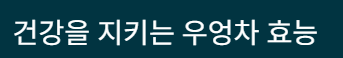 우엉차 효능 부작용 먹는방법