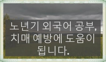 외국어 학습으로 뇌 건강
