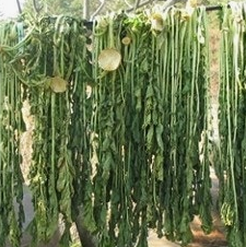 시래기 효능 무청 부작용 고르는법