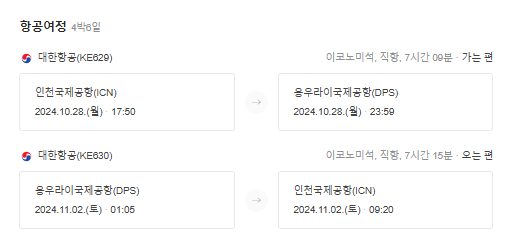 발리 오후 비행기 일정