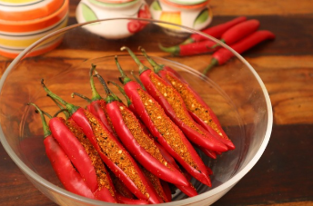 고추모종&amp;#44; 씨앗이 아닌 이유는 3