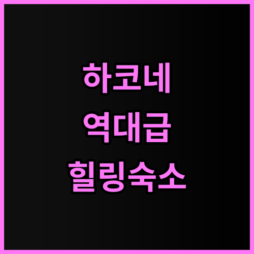 하코네 코와키엔 미야마푸린 추천 숲속..