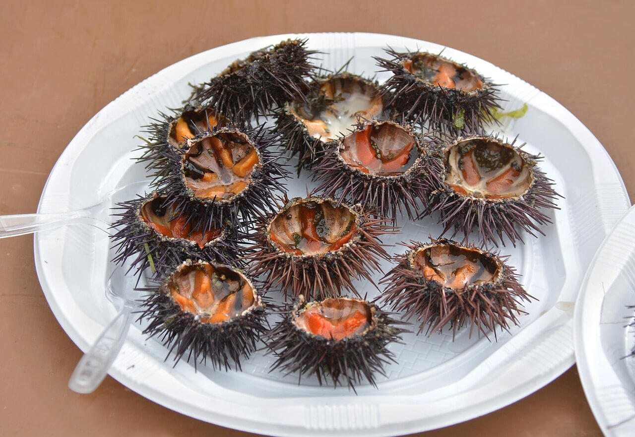 6월 제철음식