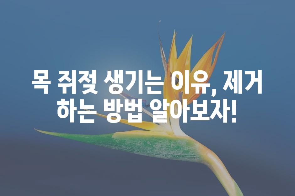 샘플 (45)