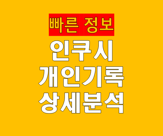 인쿠시 한국 시즌 개인기록 상세 분석