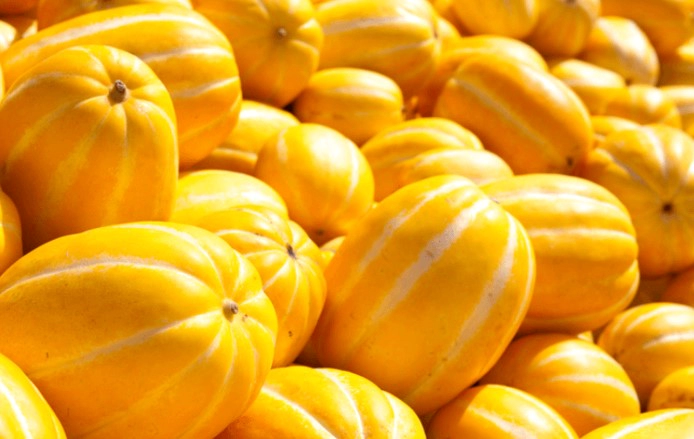 참외 칼로리 영양성분