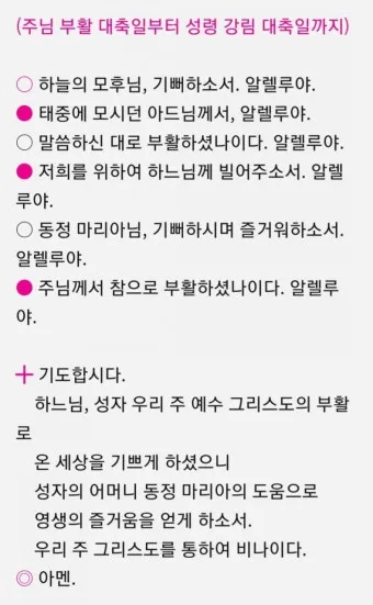 천주교 예수님 부활을 기념하는 기쁨의 부활 삼종기도_23