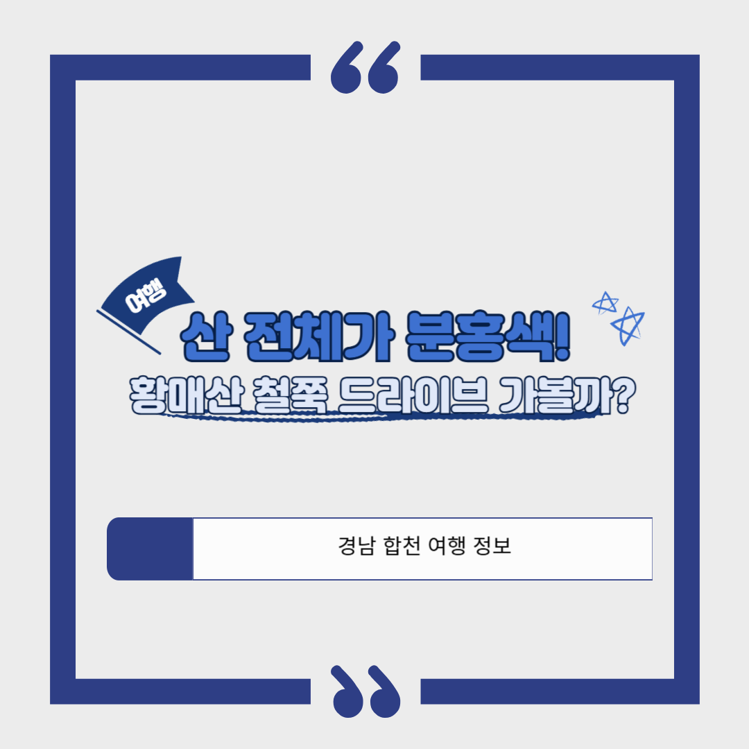 [경남 합천 여행] 황매산 철쭉축제❘기간, 예약, 실시간 개화 현황