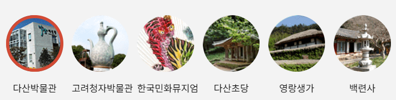 강진 서부해당화 봄꽃 축제