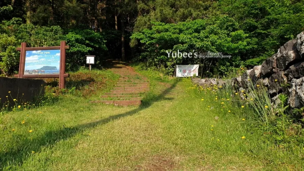 대수산봉 입구