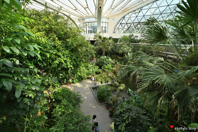 도심 속 여름 힐링 공간 – 서울 실내 피크닉 명소 5곳 관련 사진