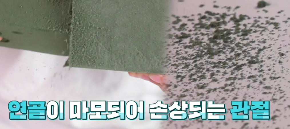 콘드로이친
