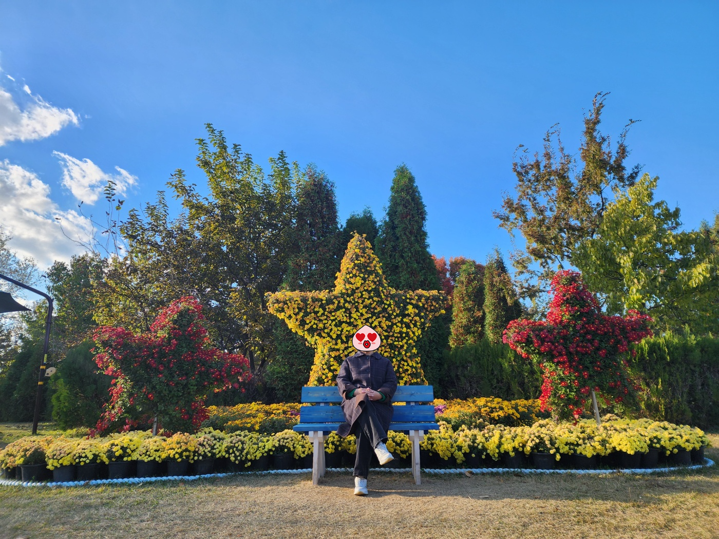 이미지-alt-태그-드림파크 야생화 단지