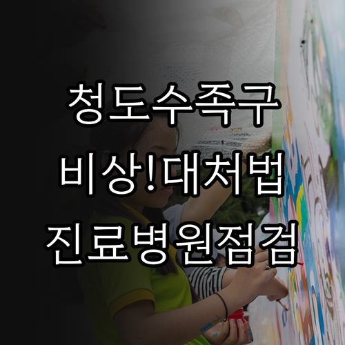 청도군 수족구 의심 증상 대처법과 소..