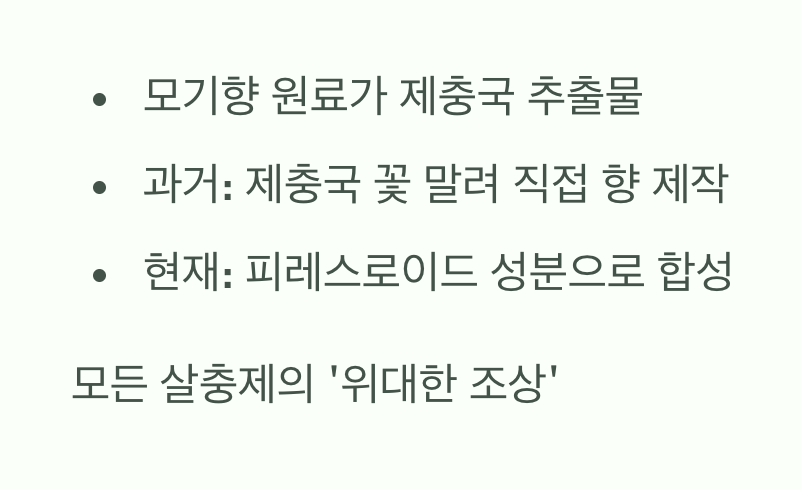 모기향의 원조&amp;#44; 우리 곁의 제충국
