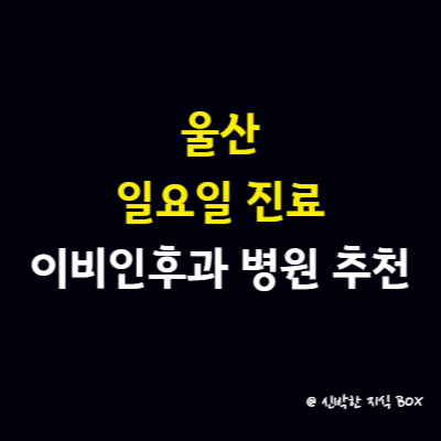 울산 이비인후과 일요일 진료, 후기 좋은 이비인후과 병원 추천