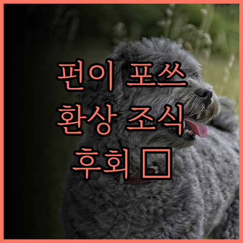 펀이 포쓰 황관 국제 호텔.. 편안한