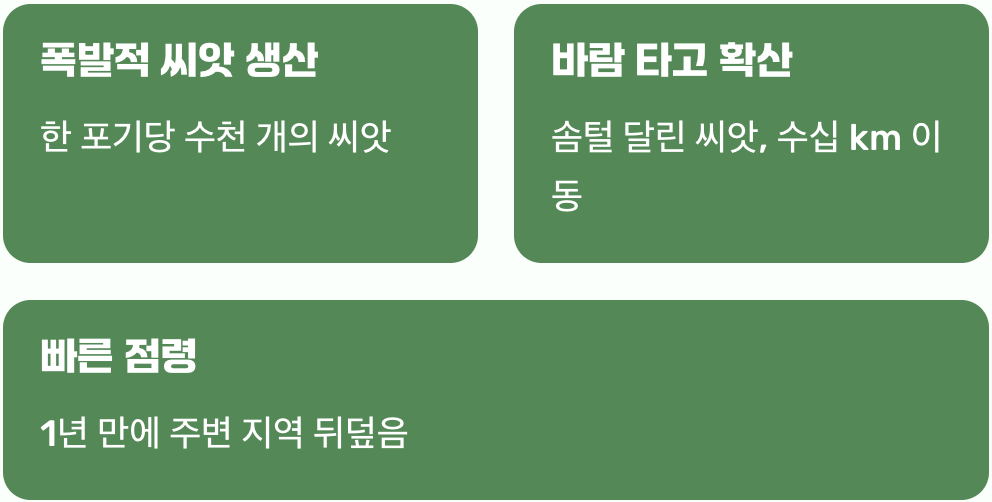 예쁜 얼굴에 숨겨진 무서운 번식력
