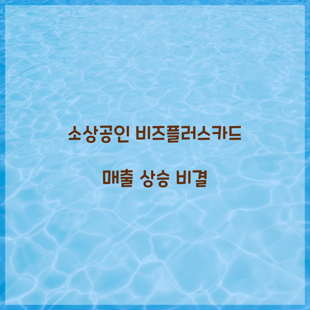 소상공인 비즈플러스카드