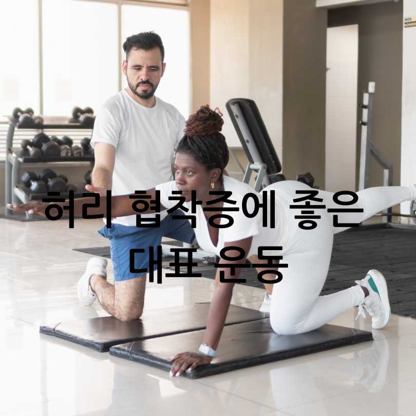 허리 협착증에 좋은 운동