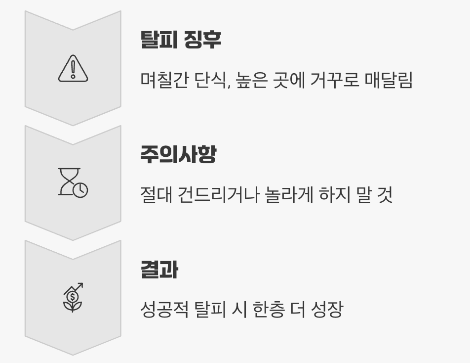 가장 위험하고 신비로운 순간, 탈피