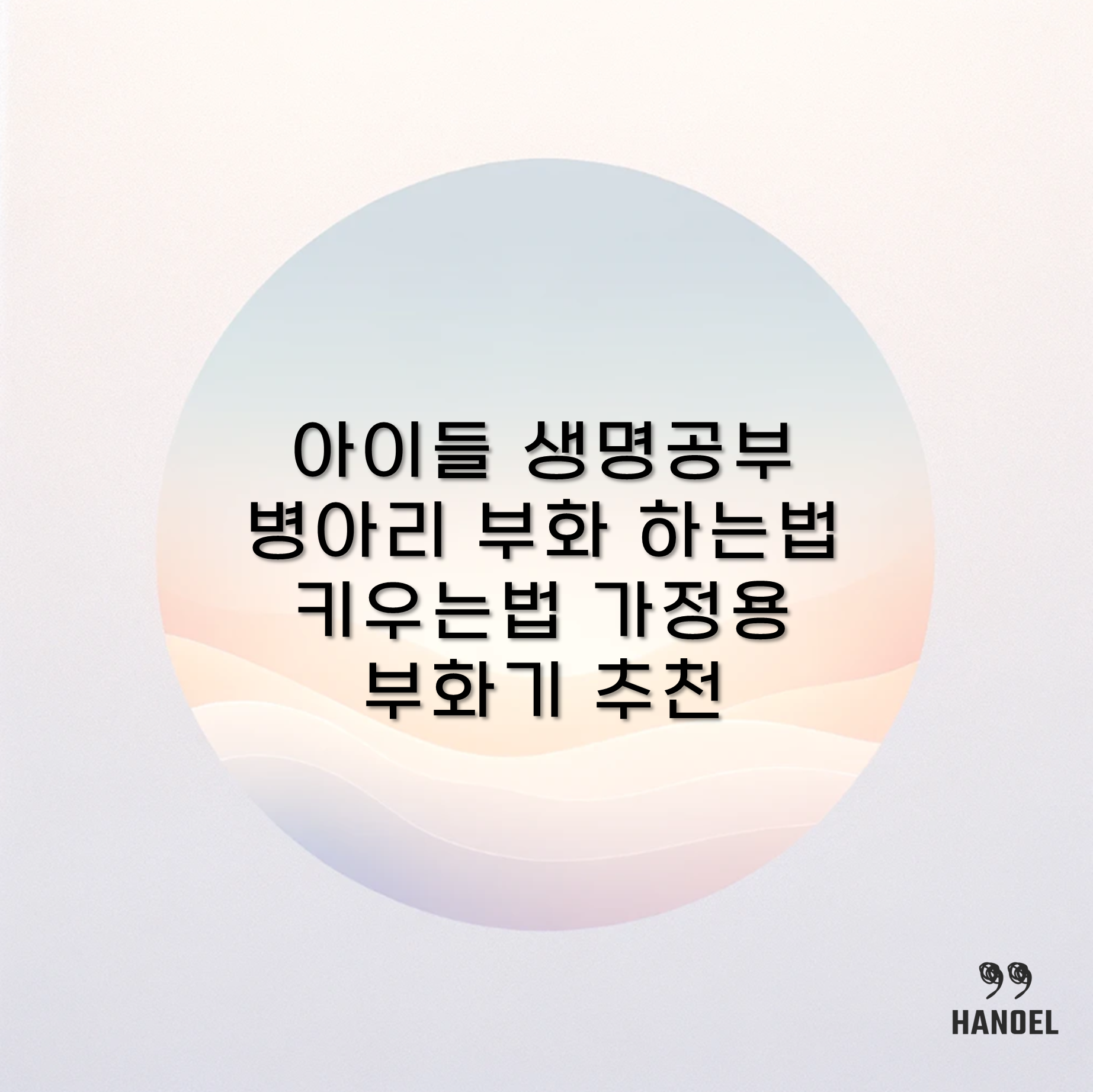 아이들 생명공부 병아리 부화 하는법 키우는법 가정용 부화기 추천