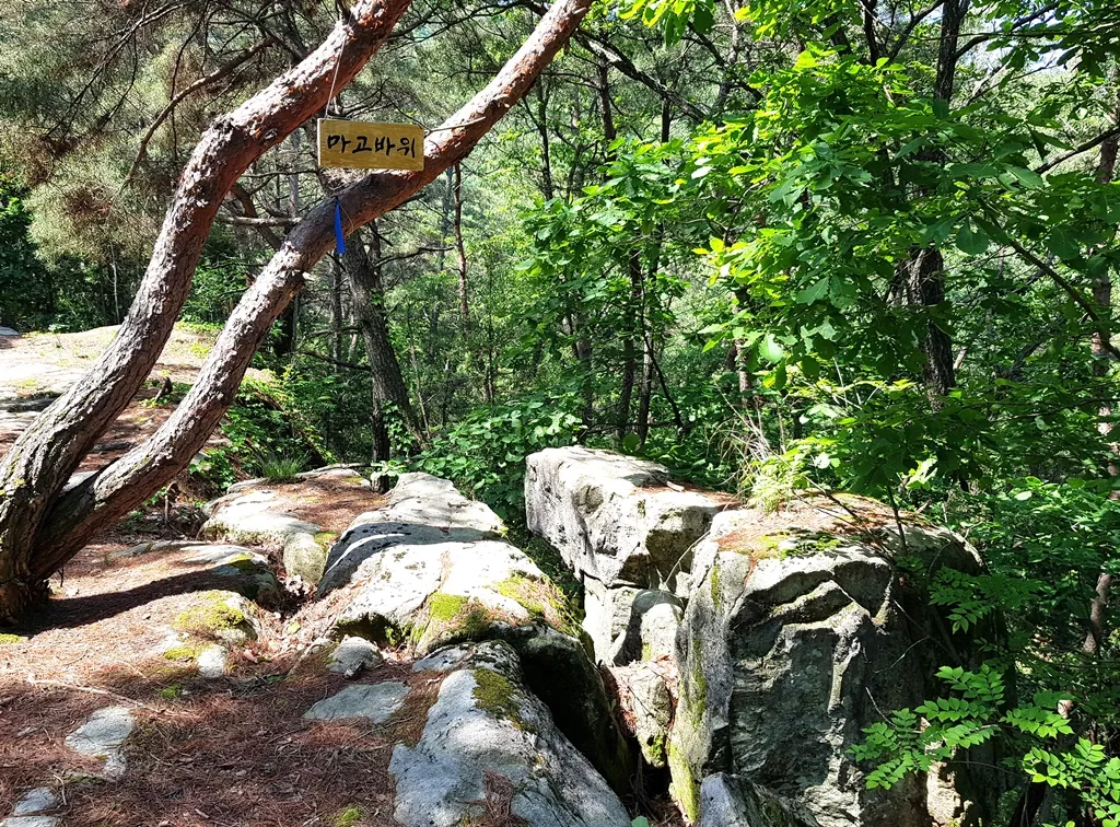 여주 여강길 2코스 초반 구간 전설이 깃든 마고바위(신선바위) 사진.